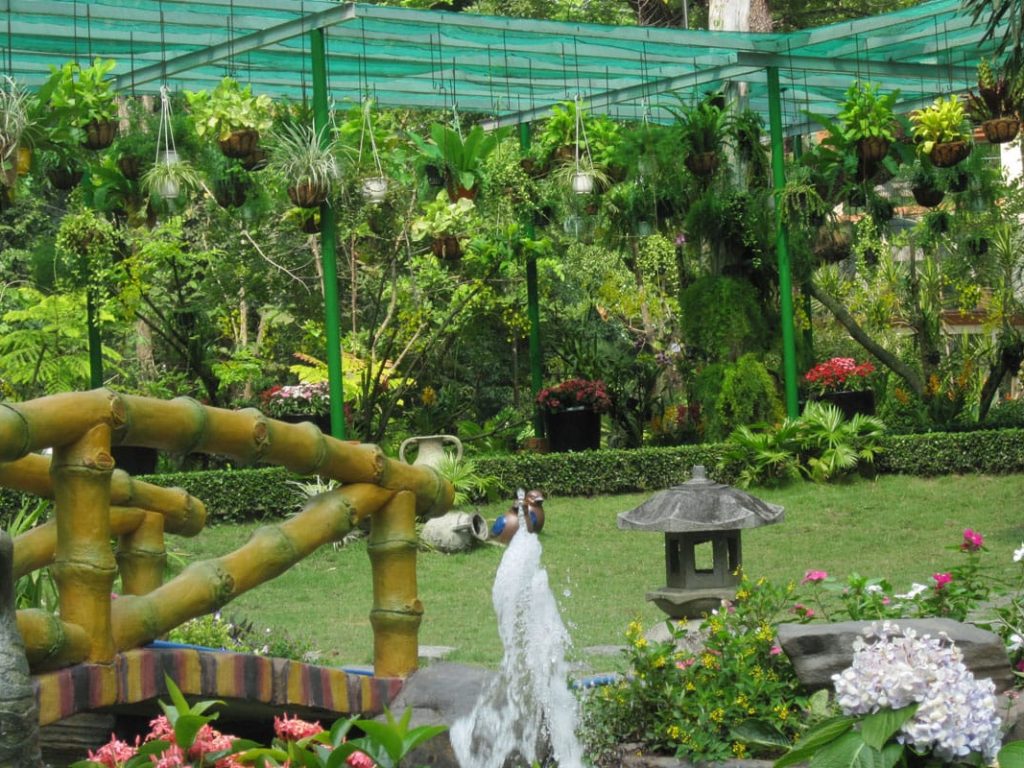 Ботанический сад Thao Cam Vien Sai Gon