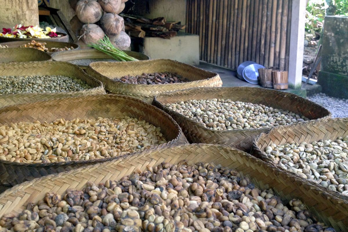 кофе из вьетнама в зернах