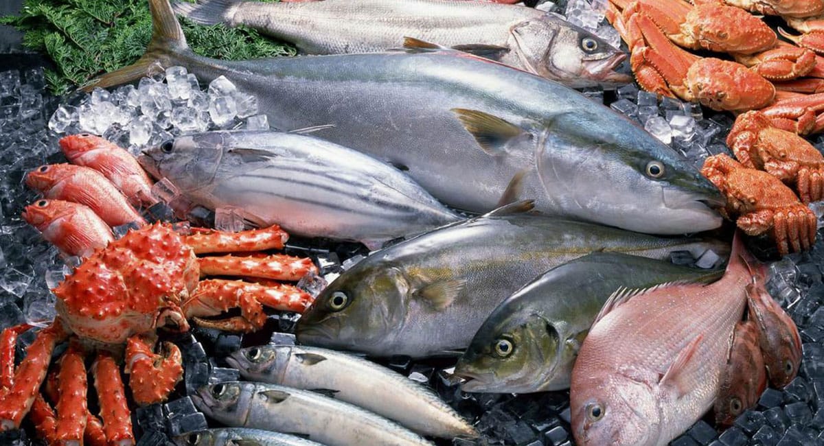 морепродукты в Нячанге рыба