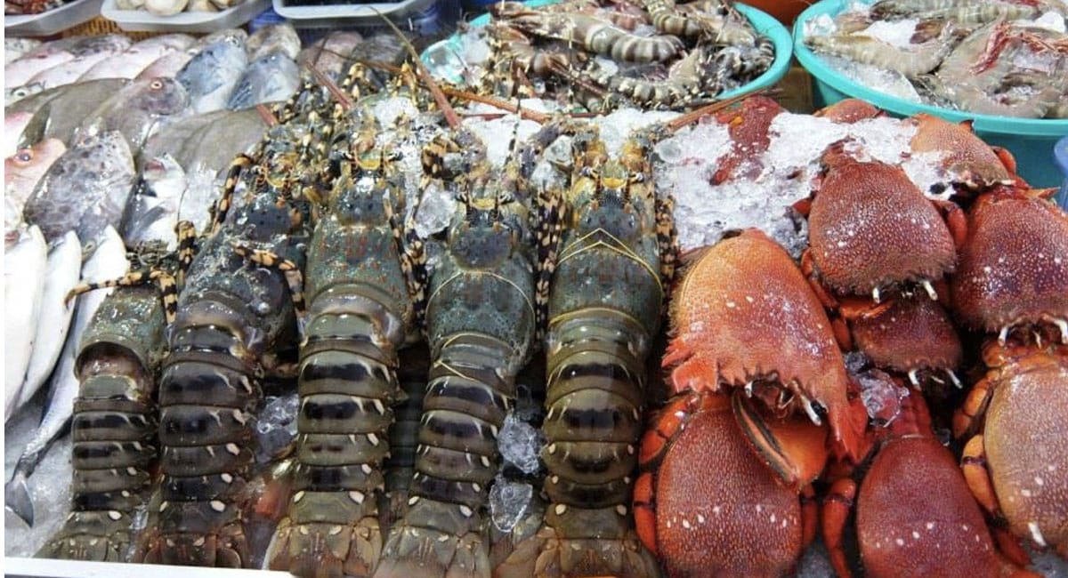 морепродукты в Нячанге как выбрать